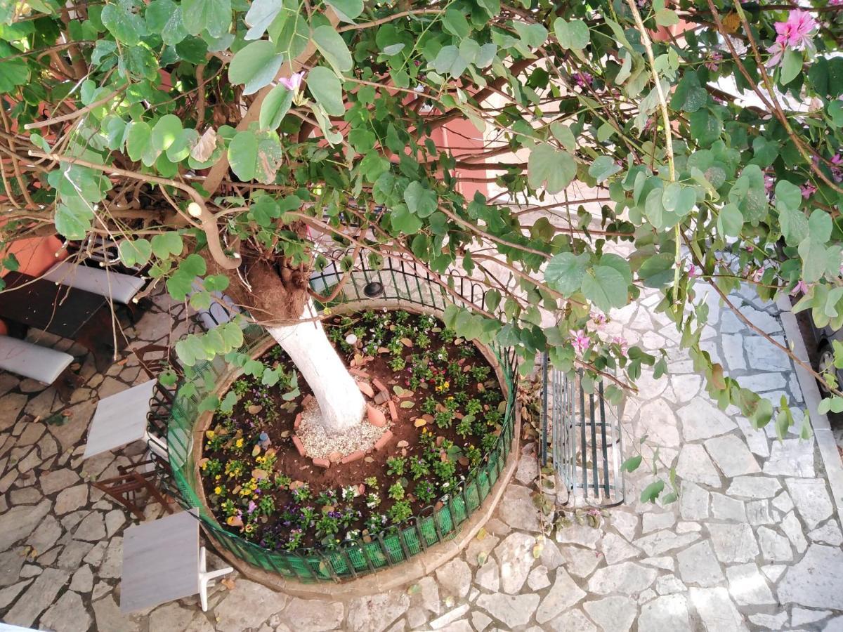Lilliput Studio Corfu Old Town 외부 사진