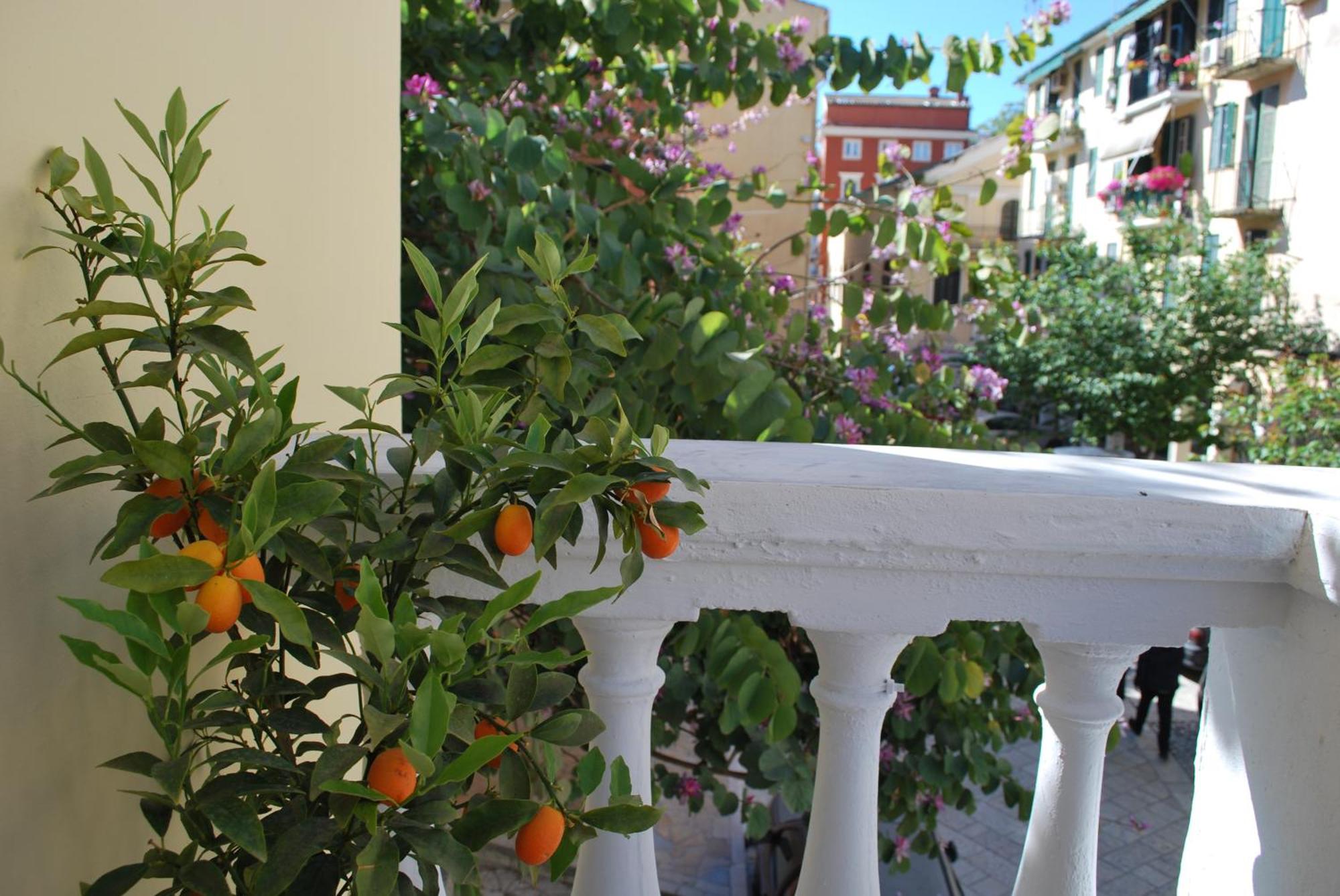 Lilliput Studio Corfu Old Town 외부 사진